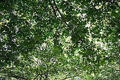 方块喜加一：同人游戏《仙剑5前传之心愿》免费领