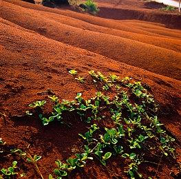 《暗黑破坏神4》“晦暗深冬祭”活动开启 胆小之辈勿来
